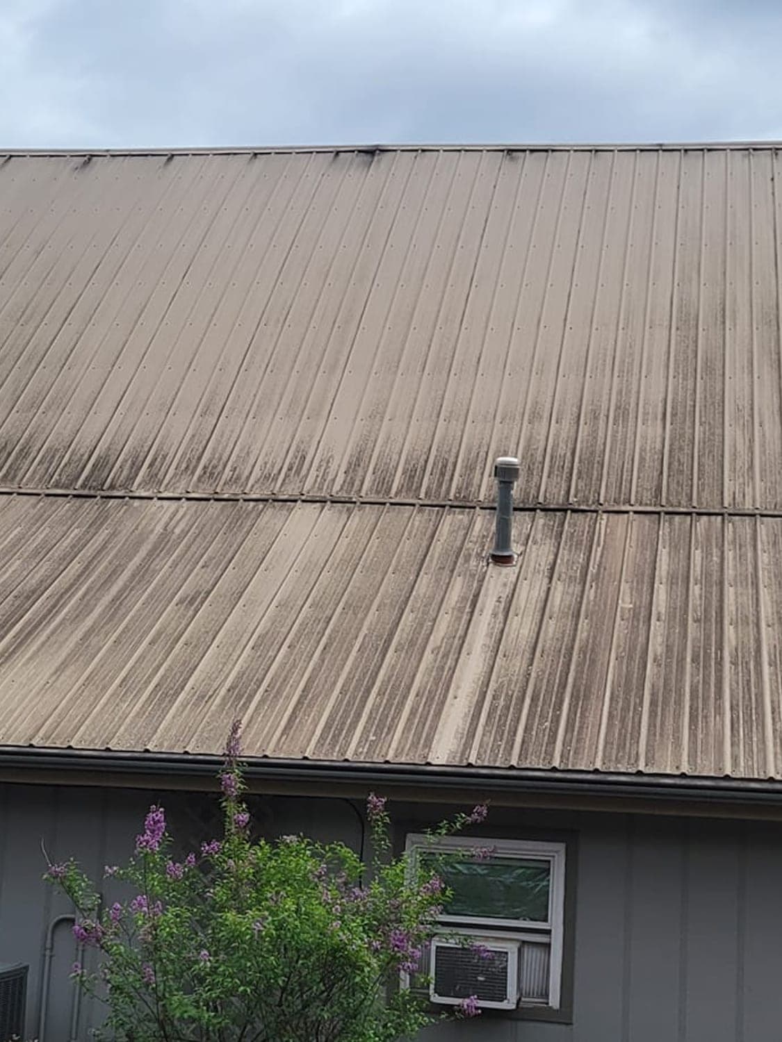 Metal Roof Cleaning before