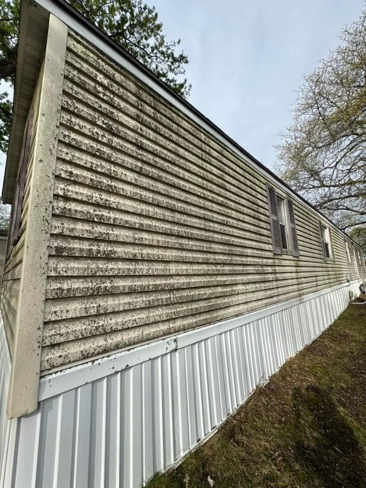 Algae & Mildew Removal before