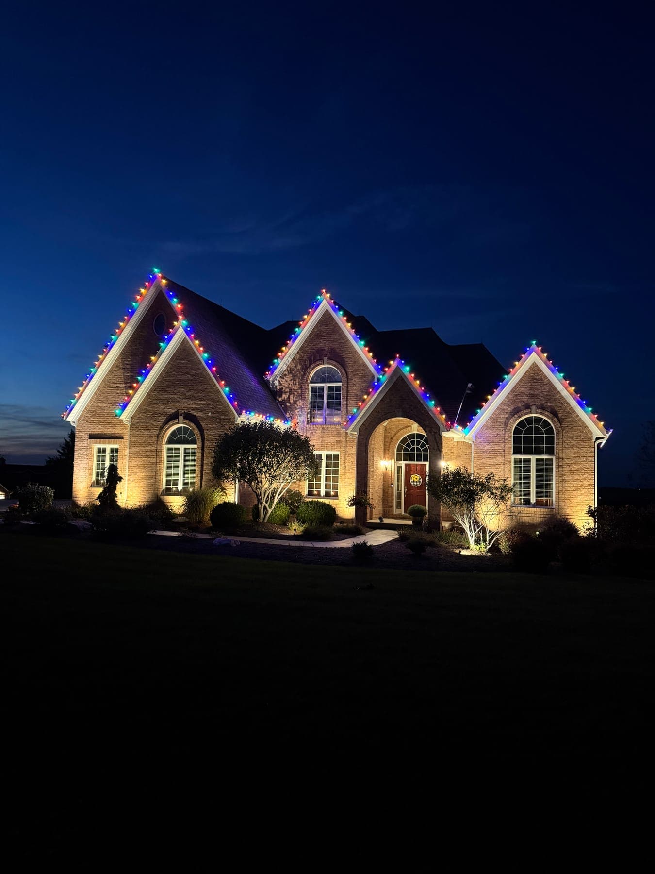 Gingerbread Multicolor